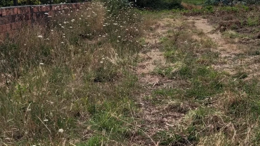 Terreno para Venda em Albergaria-A-Velha e Valmaior