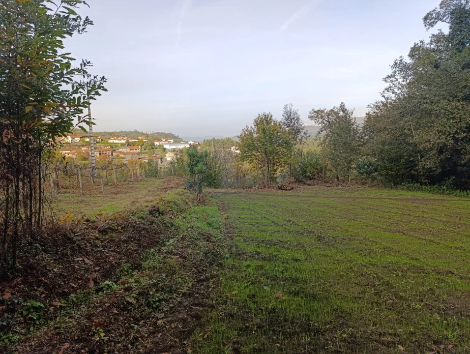 Terreno para Venda em Freitas e Vila Cova Foto 1