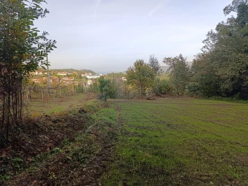Terreno para Venda em Freitas e Vila Cova