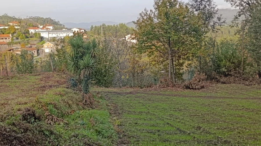 Terreno para Venda em Freitas e Vila Cova