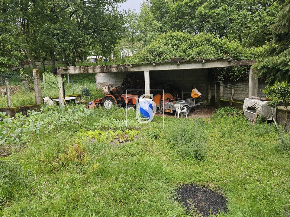 Terreno para Venda em Moreira do Rei e Várzea Cova Foto 2