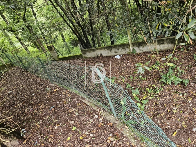Terreno para Venda em Moreira do Rei e Várzea Cova Foto 12