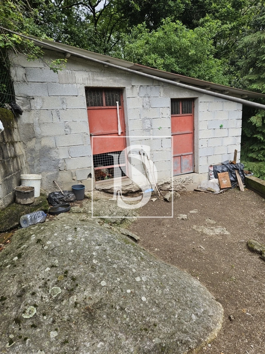 Terreno para Venda em Moreira do Rei e Várzea Cova Foto 7