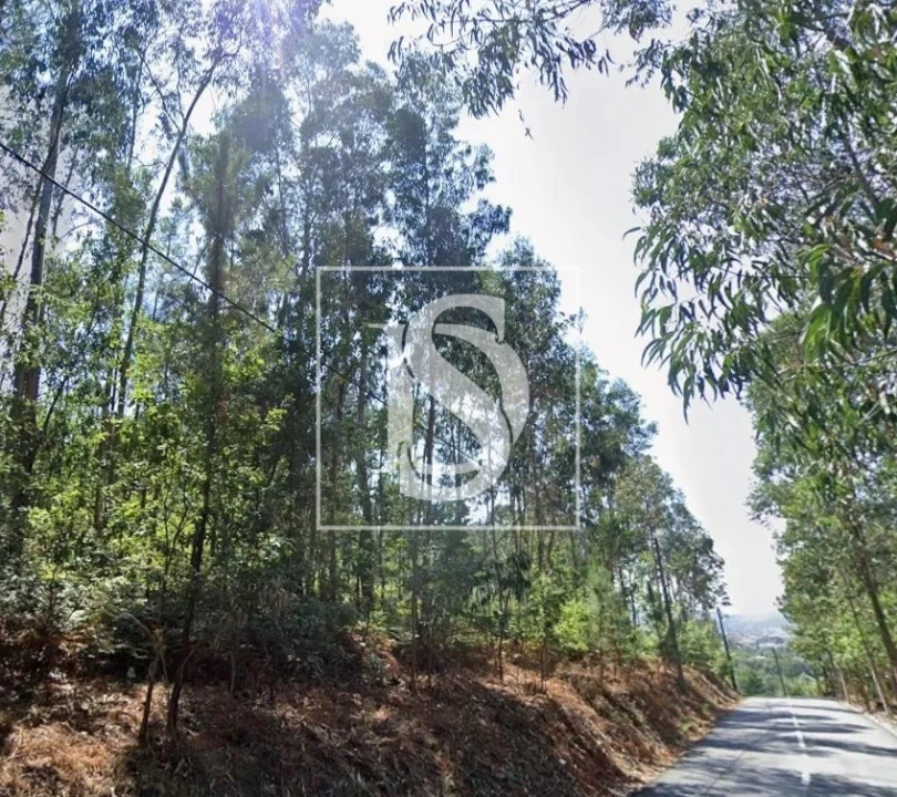 Terreno para Venda em Fafe Foto 2