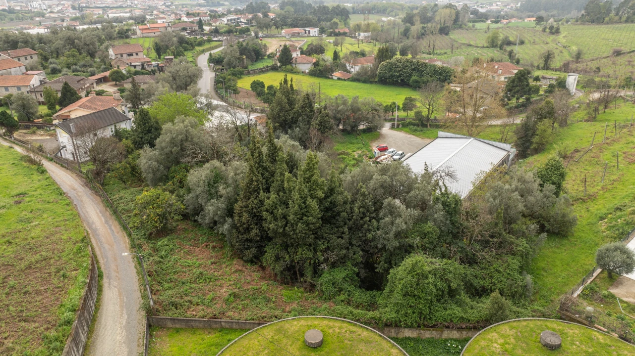 Terreno para Venda em Ferreiros, Prozelo e Besteiros Foto 1