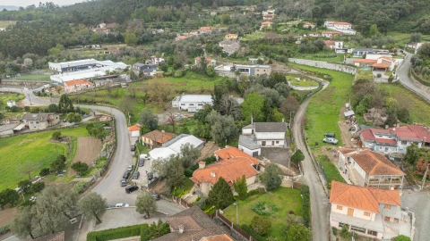 Terreno para Venda em Ferreiros, Prozelo e Besteiros