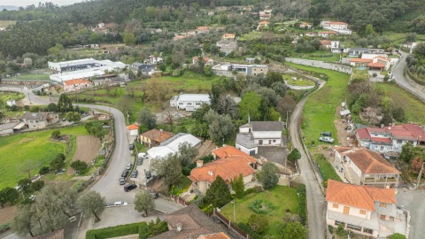 Terreno para Venda em Ferreiros, Prozelo e Besteiros