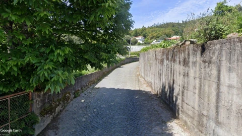 Terreno para Venda em Ferreiros, Prozelo e Besteiros
