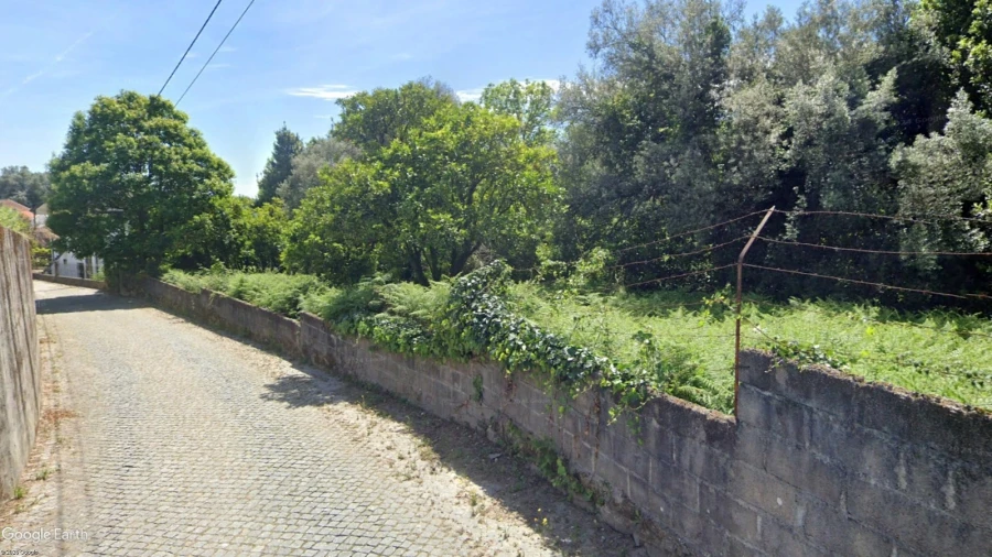Terreno para Venda em Ferreiros, Prozelo e Besteiros Foto 13