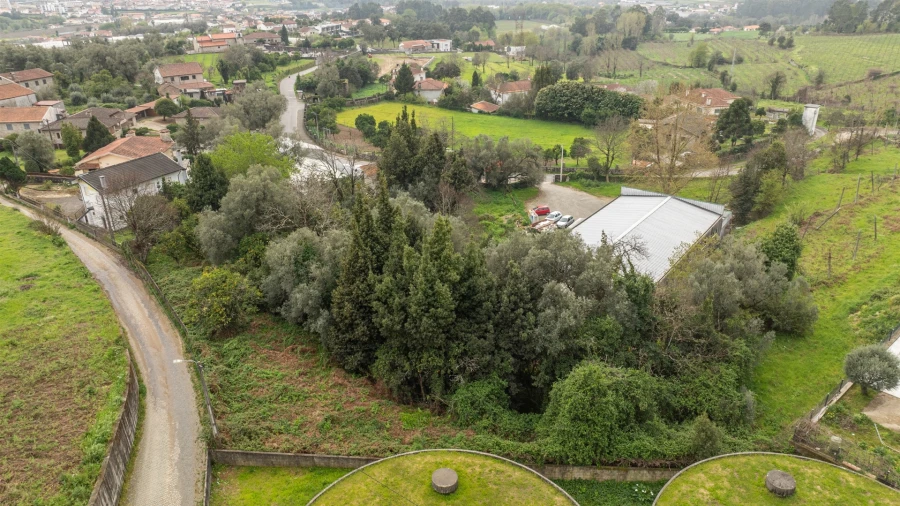 Terreno para Venda em Ferreiros, Prozelo e Besteiros Foto 71