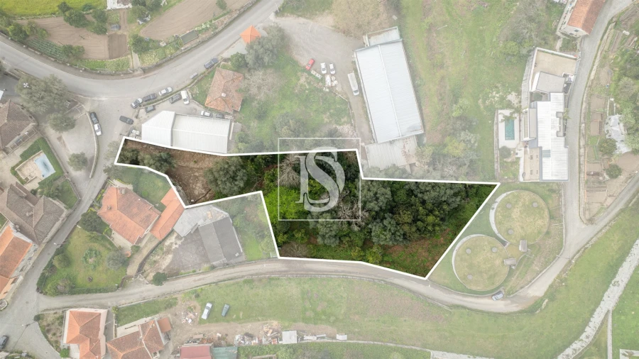 Terreno para Venda em Ferreiros, Prozelo e Besteiros Foto 23