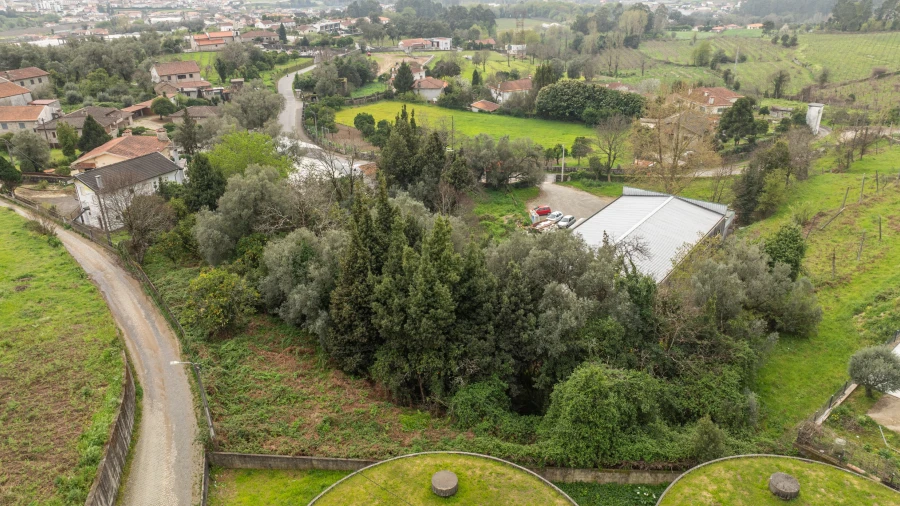 Terreno para Venda em Ferreiros, Prozelo e Besteiros