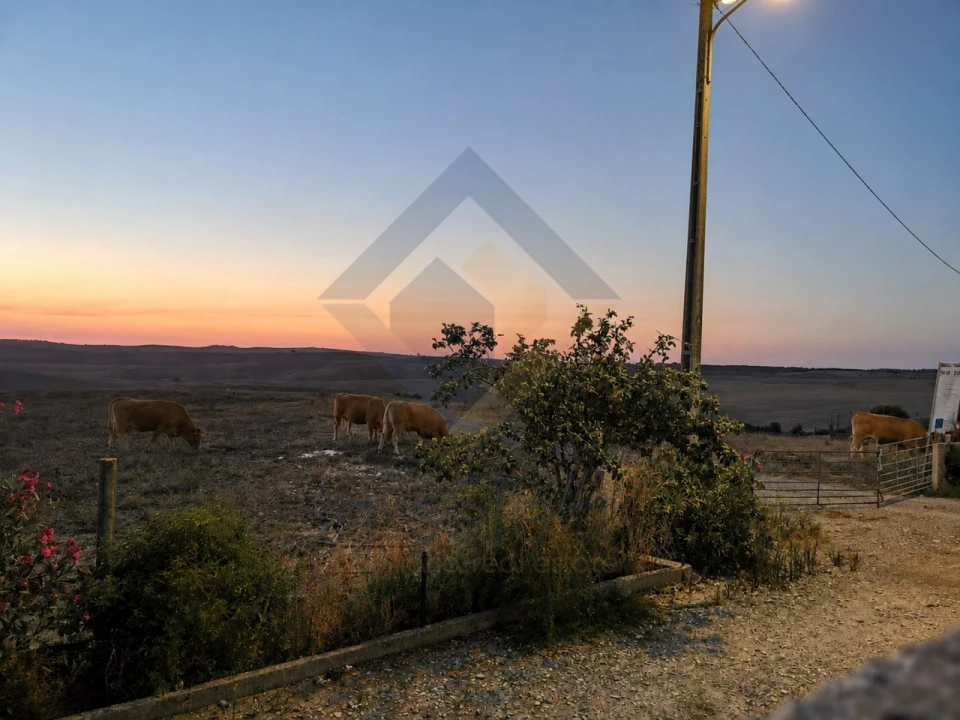 Moradia T3 para Venda em Panoias e Conceição Foto 13