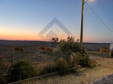 Moradia T3 para Venda em Panoias e Conceição