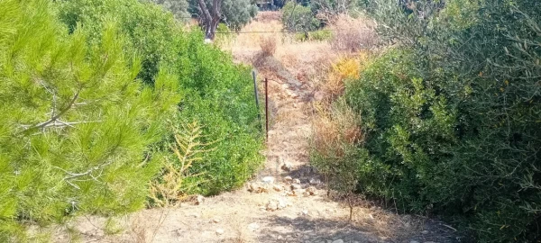 Moradia T5 para Venda em Santa Barbara de Nexe