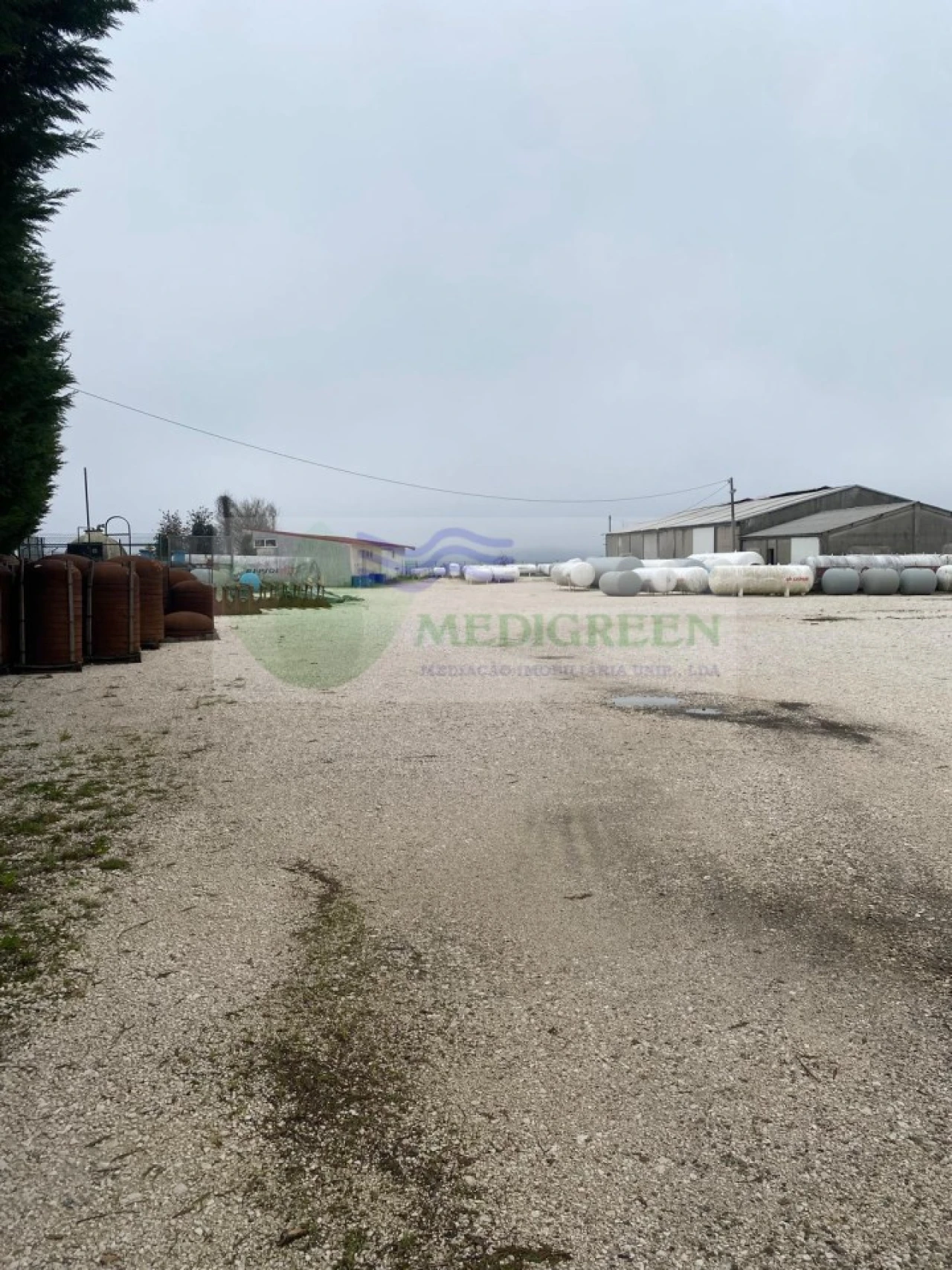 Armazém para Arrendamento em Sever do Vouga Foto 1