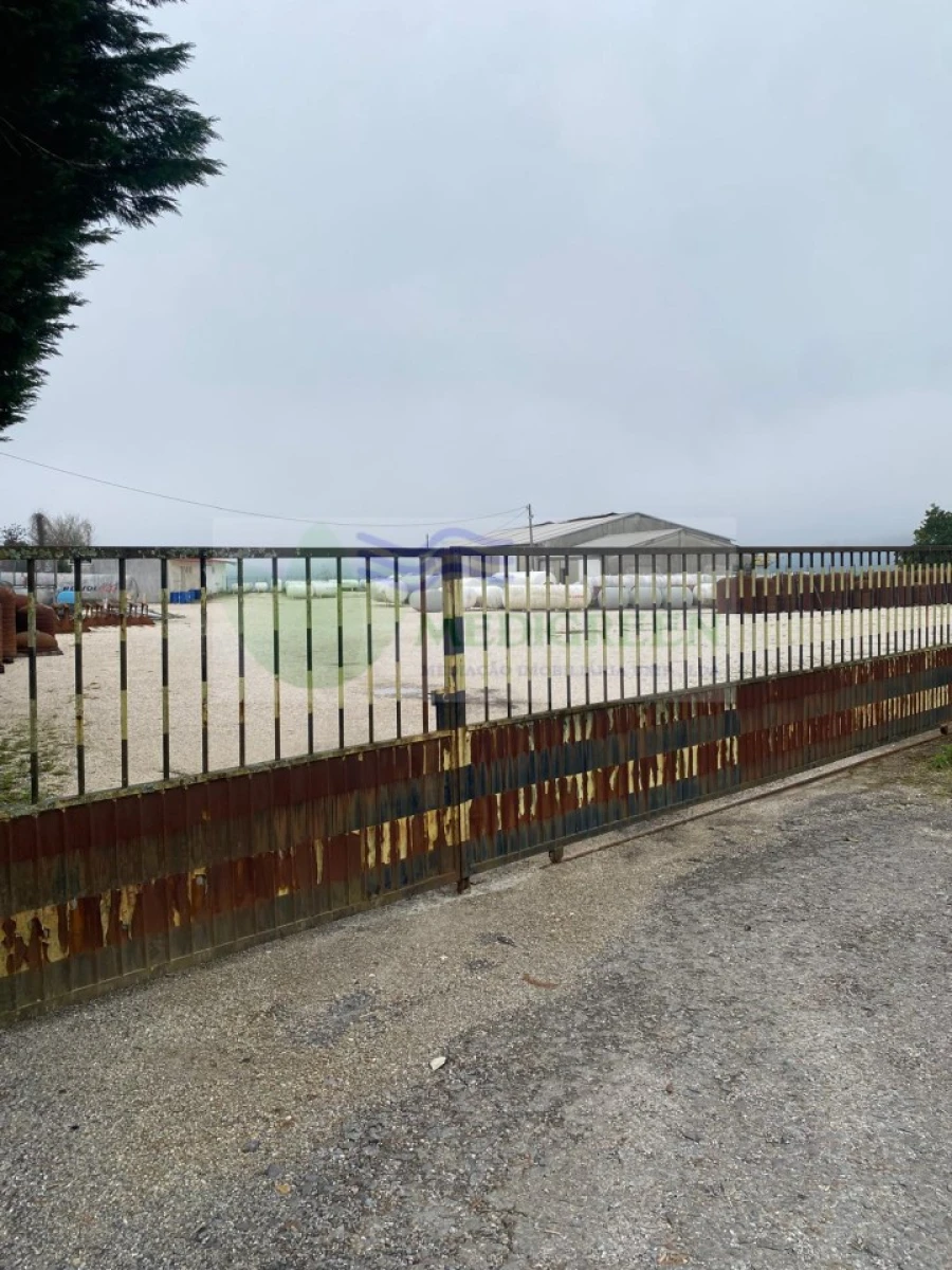 Armazém para Arrendamento em Sever do Vouga Foto 3