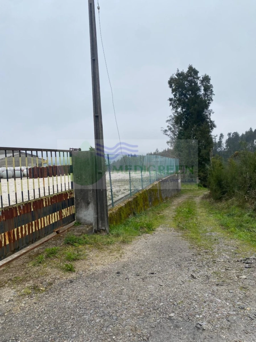 Armazém para Arrendamento em Sever do Vouga Foto 4