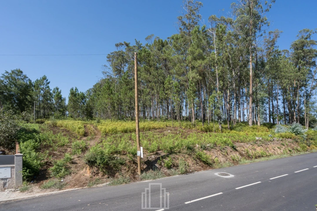 Terreno para Venda em Ovar, São João, Arada e São Vicente de Pereira Jusã Foto 1