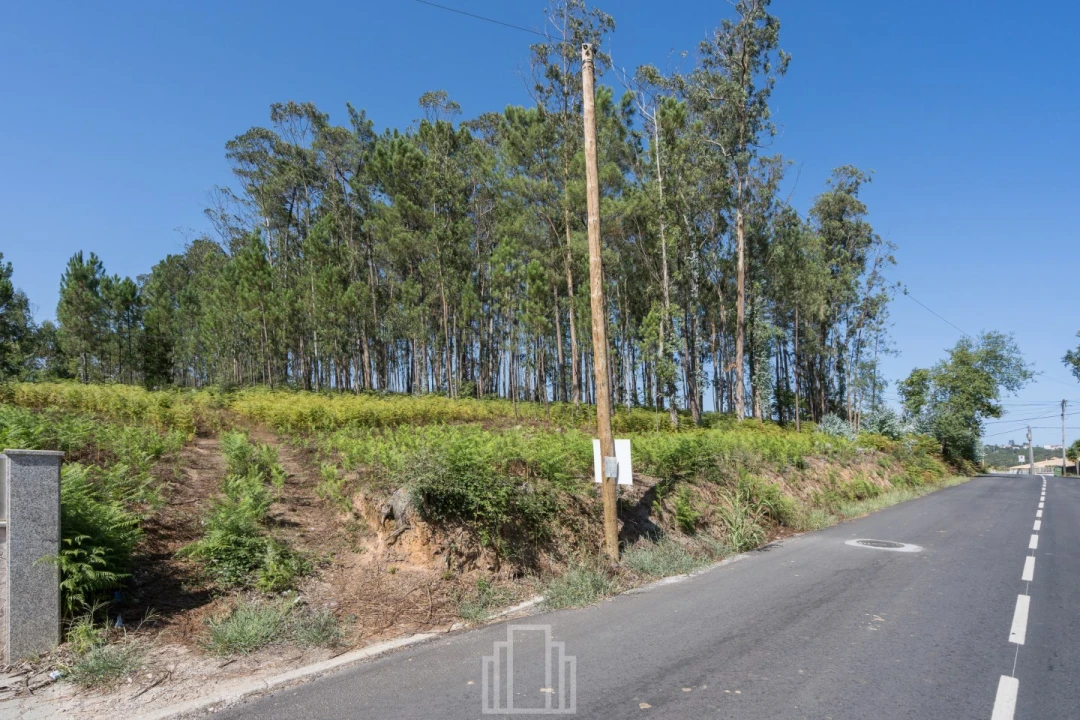 Terreno para Venda em Ovar, São João, Arada e São Vicente de Pereira Jusã Foto 3