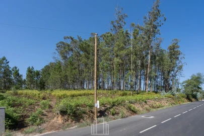 Terreno para Venda em Ovar, São João, Arada e São Vicente de Pereira Jusã