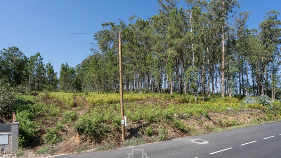 Terreno para Venda em Ovar, São João, Arada e São Vicente de Pereira Jusã