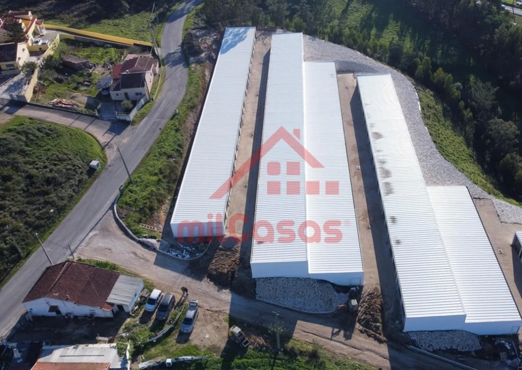 Garagem para Arrendamento em Santa Maria, São Pedro e Matacães Foto 15