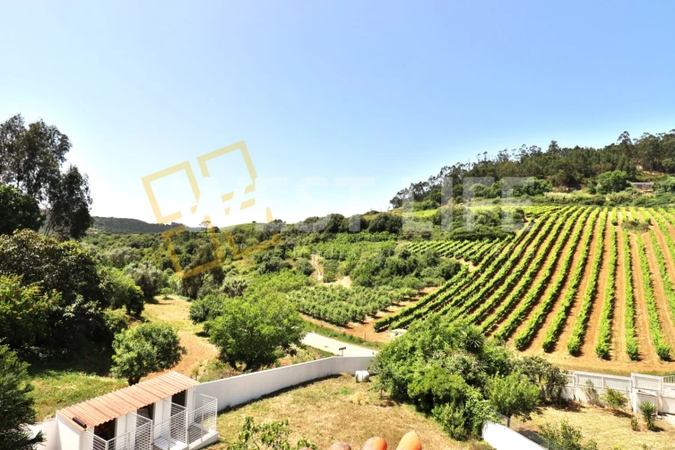Quinta T3 para Venda em Azueira e Sobral da Abelheira Foto 3
