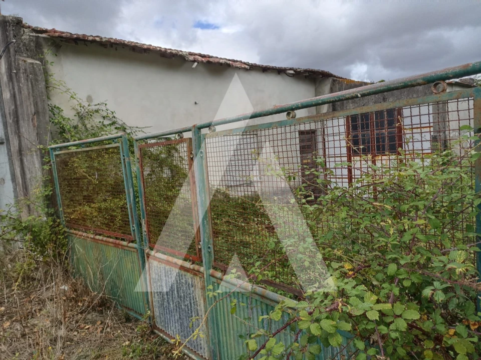 Terreno Agricola ou Rústico para Venda em Nogueira, Meixedo e Vilar de Murteda Foto 1