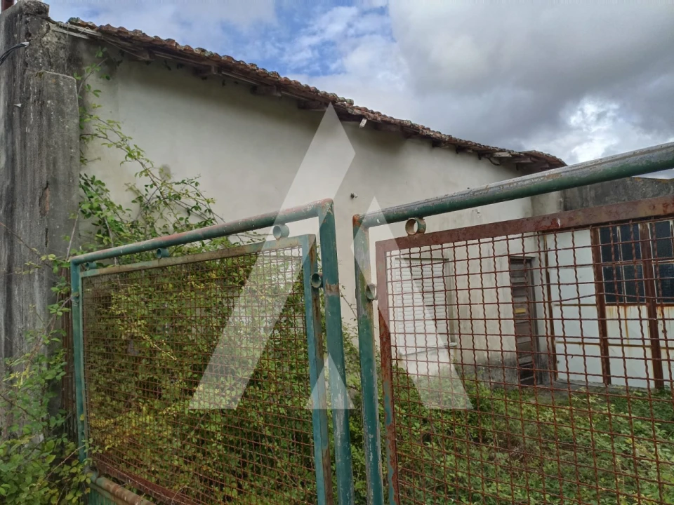 Terreno Agricola ou Rústico para Venda em Nogueira, Meixedo e Vilar de Murteda Foto 3