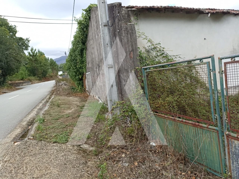 Terreno Agricola ou Rústico para Venda em Nogueira, Meixedo e Vilar de Murteda Foto 4