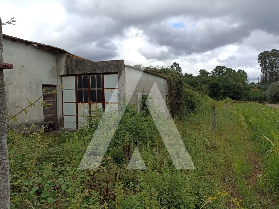 Terreno Agricola ou Rústico para Venda em Nogueira, Meixedo e Vilar de Murteda Foto 5