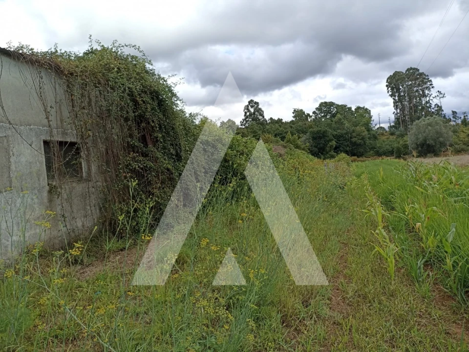 Terreno Agricola ou Rústico para Venda em Nogueira, Meixedo e Vilar de Murteda Foto 7