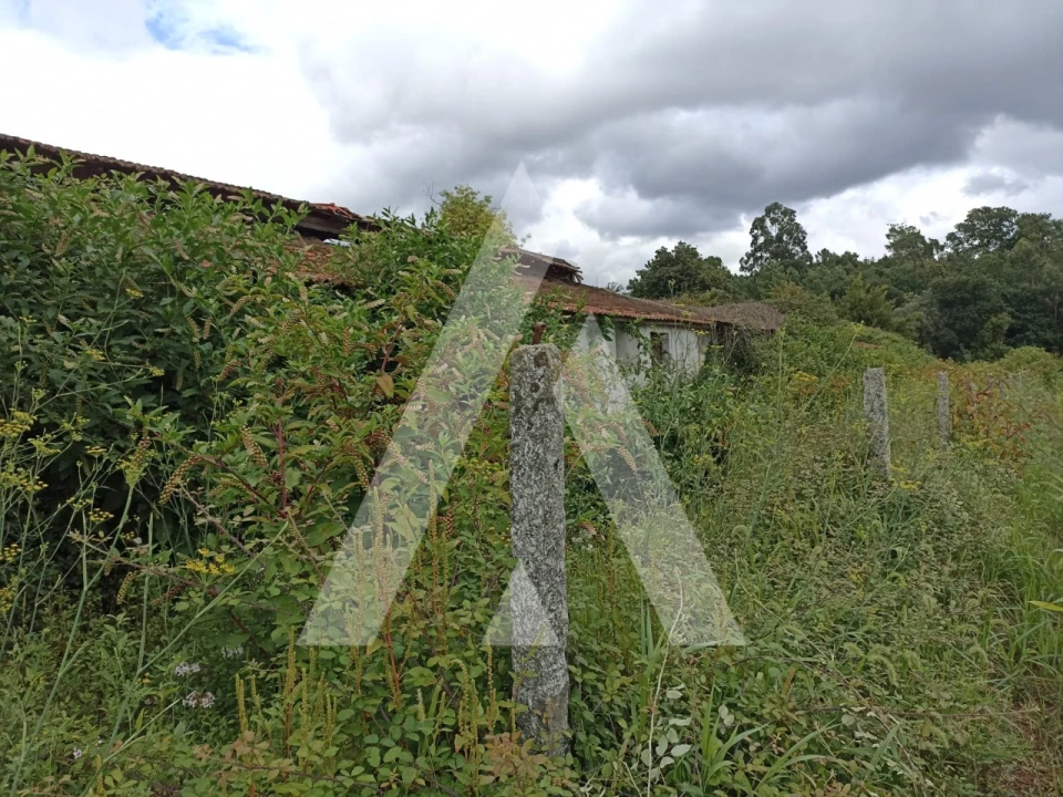 Terreno Agricola ou Rústico para Venda em Nogueira, Meixedo e Vilar de Murteda Foto 9