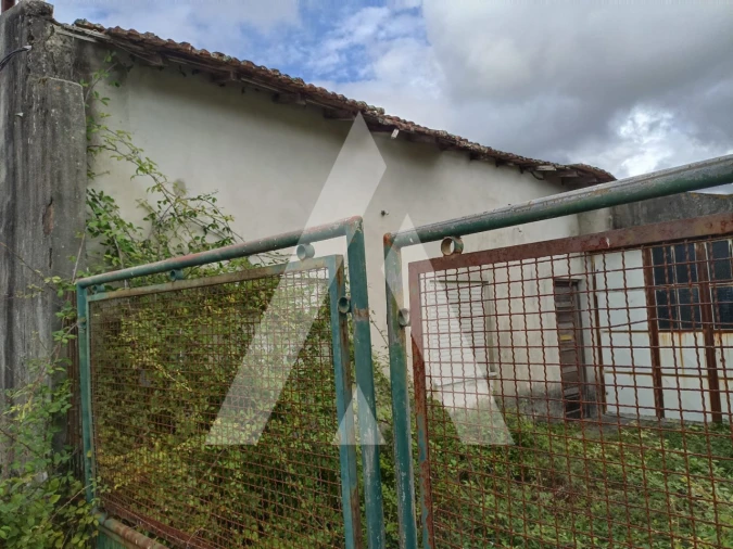 Terreno Agricola ou Rústico para Venda em Nogueira, Meixedo e Vilar de Murteda Foto 3