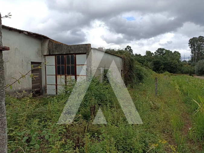 Terreno Agricola ou Rústico para Venda em Nogueira, Meixedo e Vilar de Murteda Foto 5
