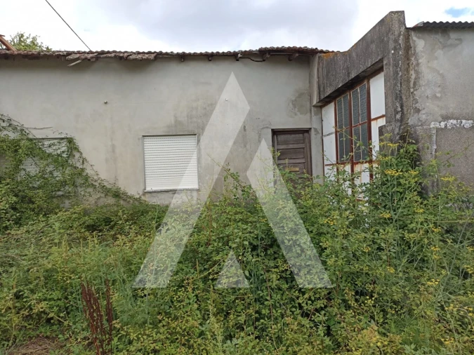 Terreno Agricola ou Rústico para Venda em Nogueira, Meixedo e Vilar de Murteda Foto 6