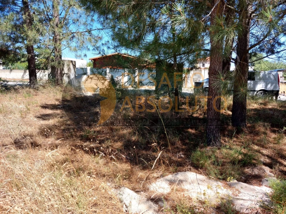 Terreno para Venda em Azeitão (São Lourenço e São Simão) Foto 3