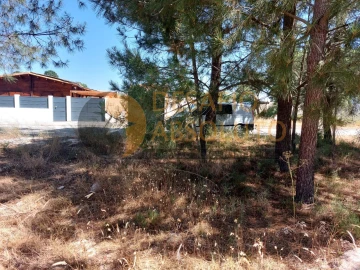 Terreno para Venda em Azeitão (São Lourenço e São Simão)