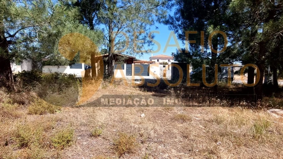 Terreno para Venda em Azeitão (São Lourenço e São Simão)