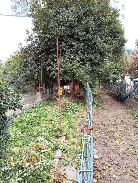 Moradia T6 para Venda em São Vitor (Braga)