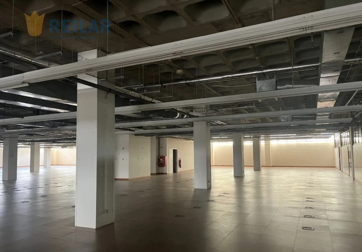 Armazém para Venda em Carnaxide e Queijas Foto 2