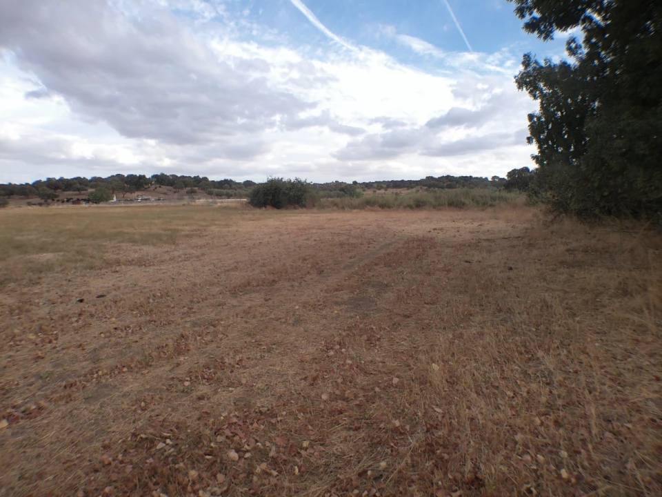 Terreno Agricola ou Rústico para Venda em Barbacena e Vila Fernando Foto 10