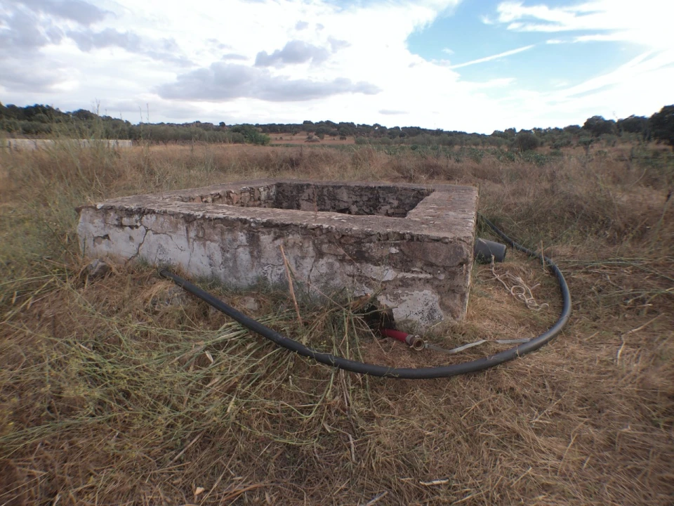 Terreno Agricola ou Rústico para Venda em Barbacena e Vila Fernando Foto 11