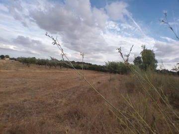 Terreno Agricola ou Rústico para Venda em Barbacena e Vila Fernando