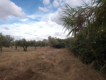 Terreno Agricola ou Rústico para Venda em Barbacena e Vila Fernando
