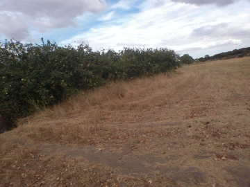 Terreno Agricola ou Rústico para Venda em Barbacena e Vila Fernando