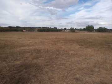 Terreno Agricola ou Rústico para Venda em Barbacena e Vila Fernando
