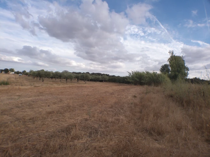Terreno Agricola ou Rústico para Venda em Barbacena e Vila Fernando Foto 3