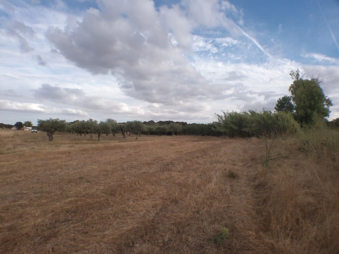 Terreno Agricola ou Rústico para Venda em Barbacena e Vila Fernando Foto 7